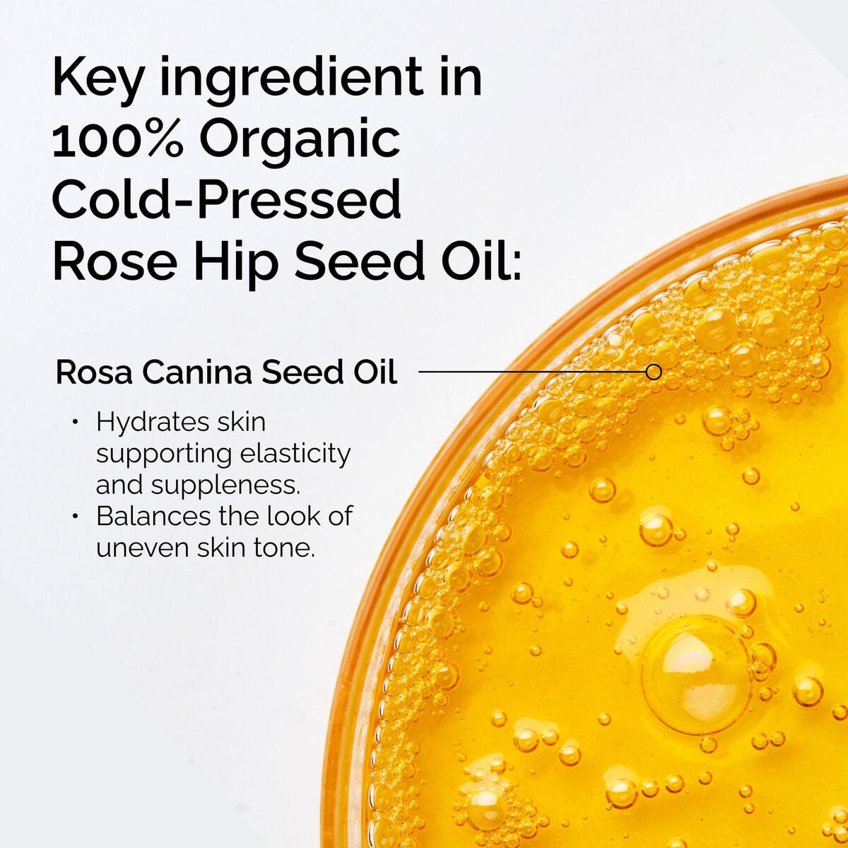 100-organic-cold-pressed-rose-hip-seed-oil-w9 FY25-D41247-ORD-Web-PDP-100-Rose-Hip-Oil-1x1-EN-2.jpg