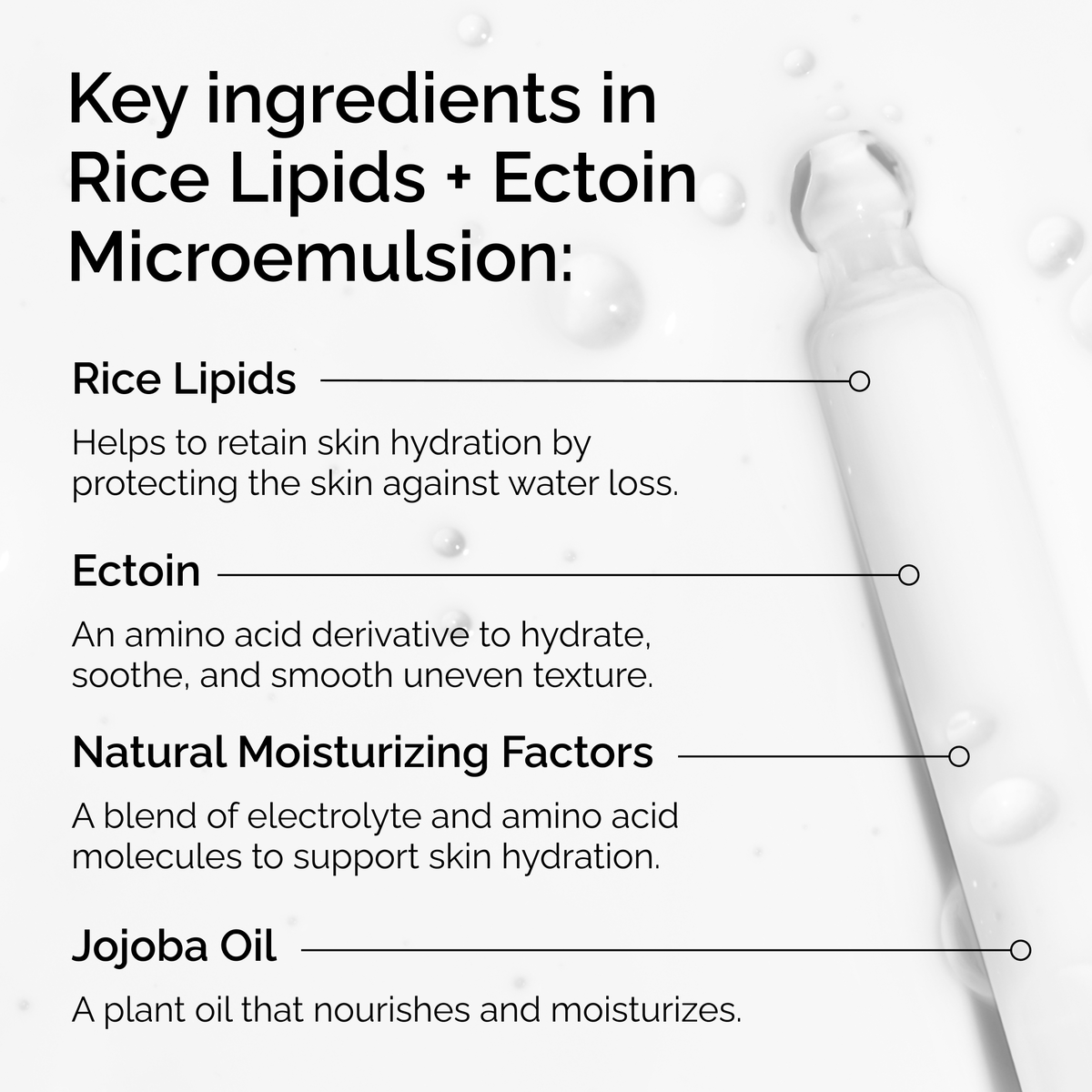 rice-lipids-ectoin-microemulsion-p7 ord-rice-lipids-ectoin-microemulsion-key-ingredients.png