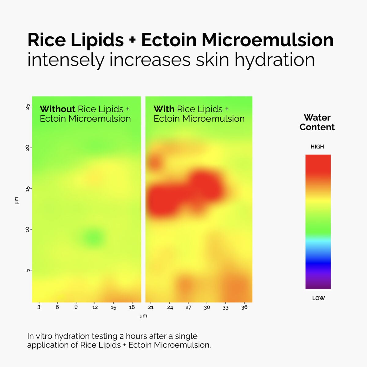 rice-lipids-ectoin-microemulsion-p7 ord-rice-lipids-ectoin-microemulsion-thermal-before-after.jpg